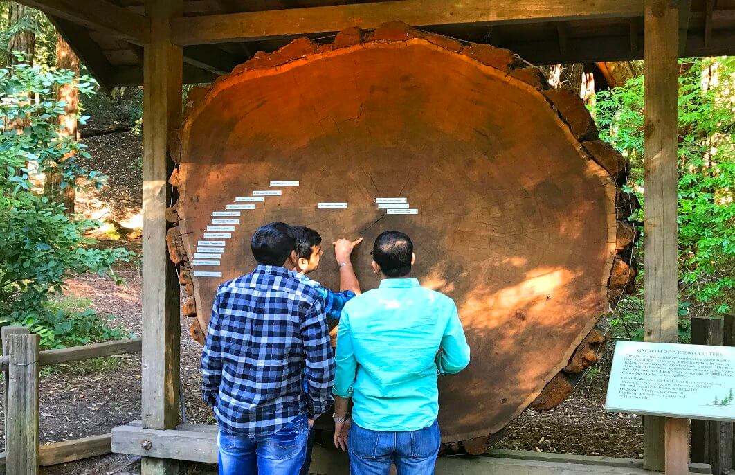 Big-Basin-State- Park-guided-tours- from-san- francisco.jpg